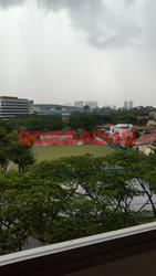 Blk 7 Toh Yi Drive (Bukit Timah), HDB Executive #101697152